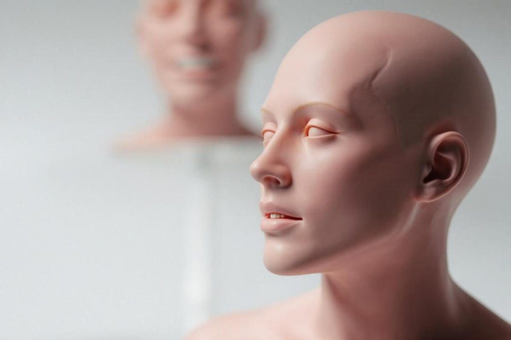 Dossiers dentaires et ordonnances ophtalmiques : secrets de création des figures de cire célèbres