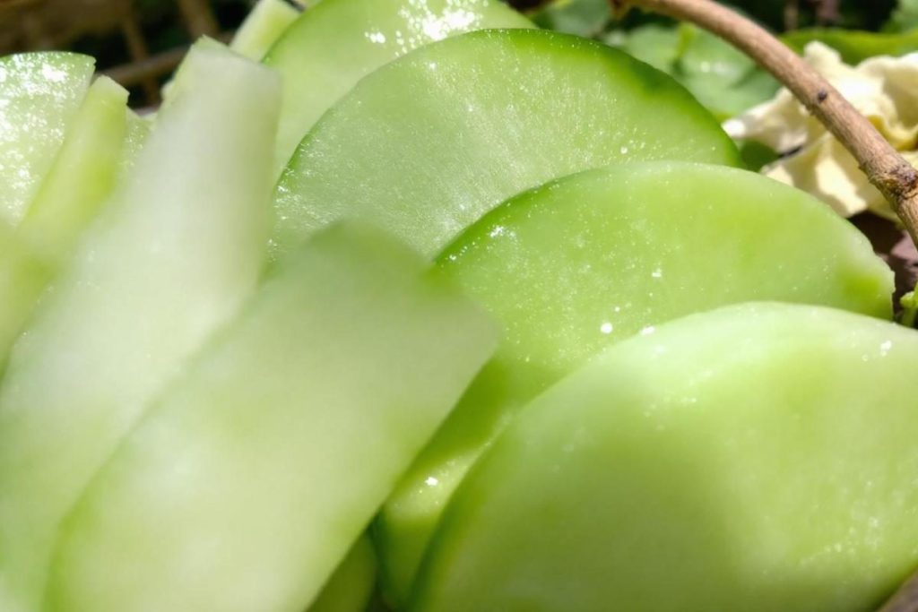 Melon boule de miel : culture, récolte et astuces pour déguster ce fruit sucré